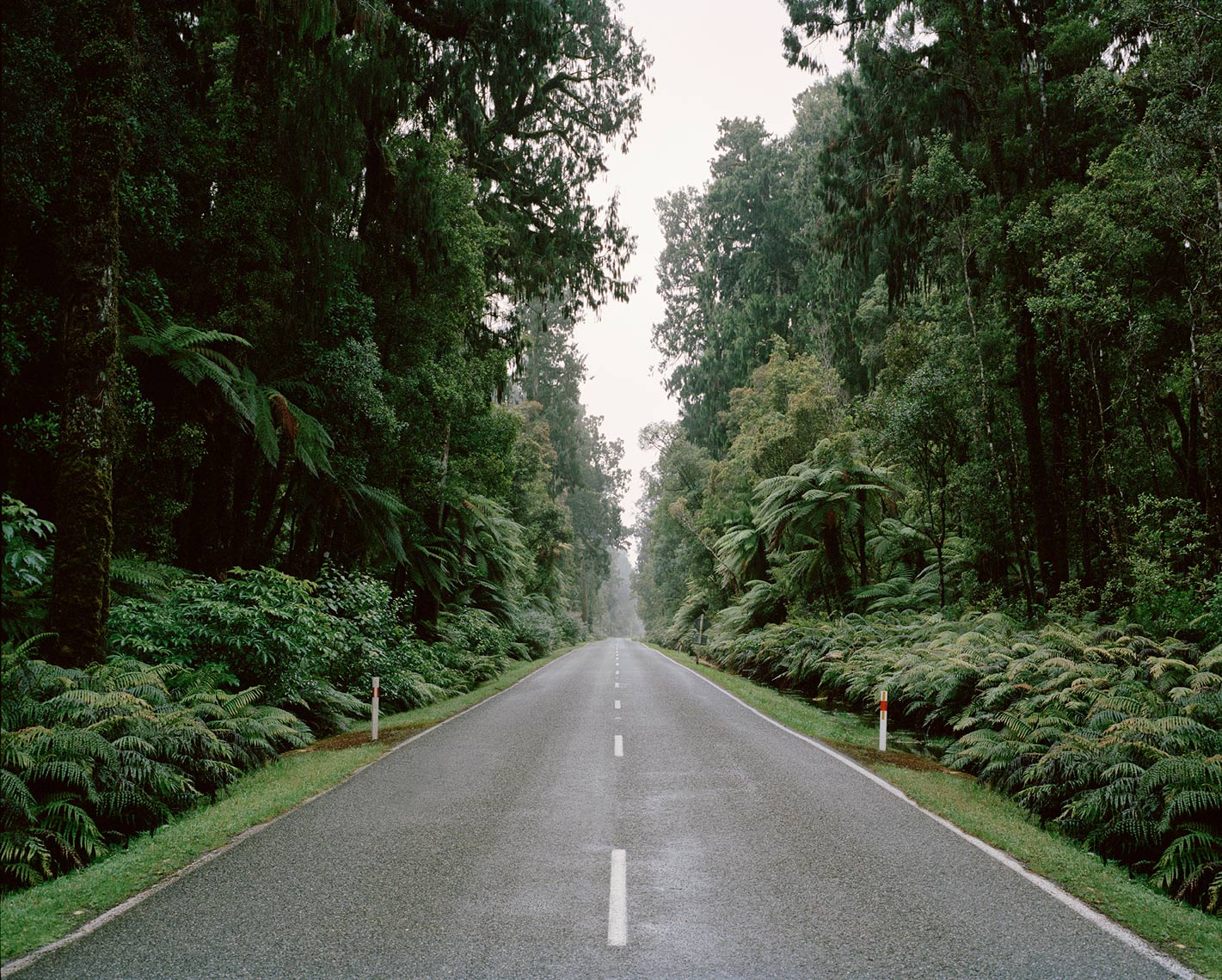 Jackson Bay Road, Haast. New Zealand